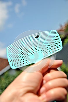 Dead fly on a flyswatter