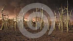 Dead forest, climate change crisis