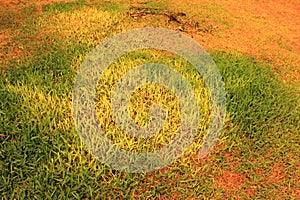 Dead Grass patches during drought in Australia