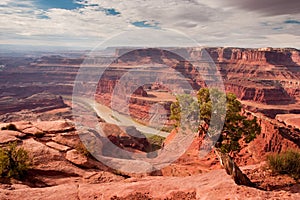 Dead Horse Point Overlook photo