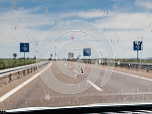 Dead insects on windscreen windshield