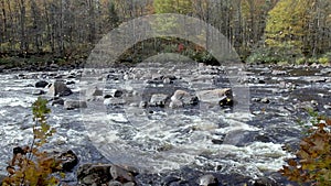 Dead leaves falling in the river in autumn  at Jacques Cartier National Park. Quebec. Canada.