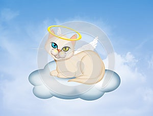 Dead little angel kitten in paradise