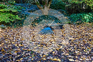 Dead magnolia leaves on garden patio, stone and wood bench, wet day, garden rake