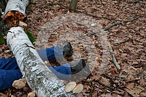 Dead man covered with a tree. the tree turned upside down and injured itself, falling while walking on a hiker, a forest worker. l