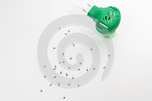 Dead mosquitoes on white background