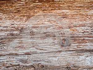 Dead old brown bark and gnarl tree texture