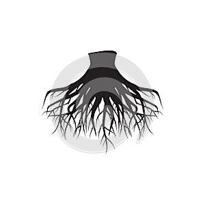 Dead roots dry icon vector