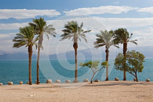 Dead sea beach