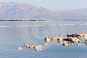 Dead Sea beach salt lump.