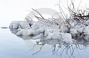 Dead Sea beach salt lump.