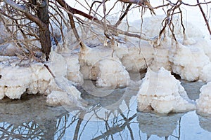 Dead Sea beach salt lump.