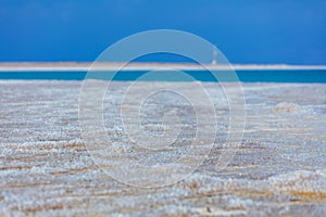 Dead Sea coastline