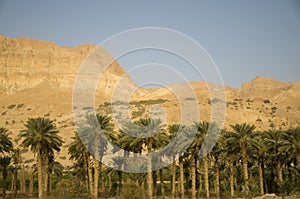 Dead sea and Ein Gedi