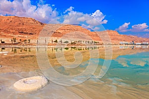 The Dead Sea