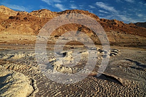Dead Sea Forms
