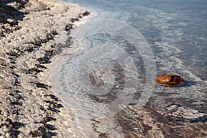 The Dead Sea - its a salt lake