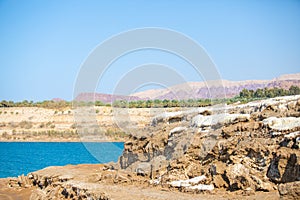 Dead sea, Jordan. Beautiful beach with salt deposits