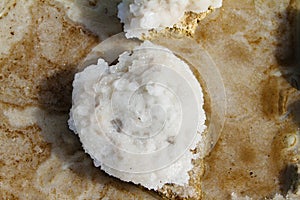 Dead sea salt