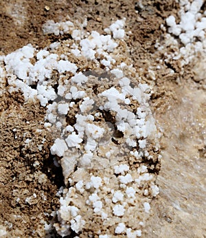 Dead sea salt at Jordan, Middle East