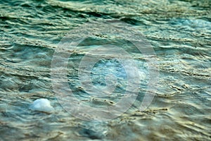 Dead Sea, is a salt lake bordering Jordan to the north, and Israel to the west