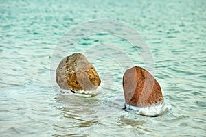 Dead Sea, is a salt lake bordering Jordan to the north, and Israel to the west