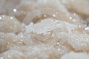 Dead Sea salt stones and crystals at the Dead Sea. Macro photo. Israel