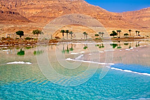 Dead Sea seashore