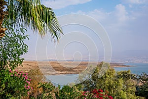 Dead Sea seashore with palm trees and mountains on background