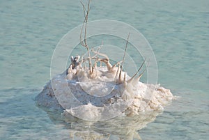 Dead Sea shore. Minerals and salt .Israel