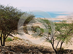 Dead Sea View from Ein Gedi