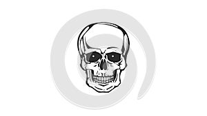 Dead Skull Head Laughing Loop