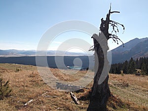 The Dead Tree and The Black Lake at the distance
