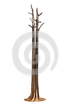 Dead tree isolated on a white