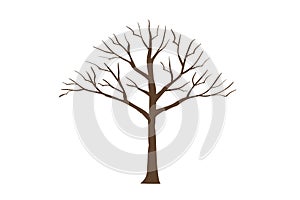 Dead tree isolated on white background. Illustration design