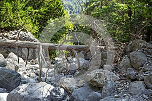 The dead tree lies across the bed of the dried river. at Samaria Gorge Crete, Greece.