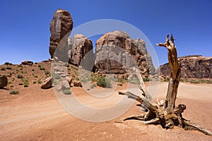 Dead tree and rock formation in Monument Valley, USA