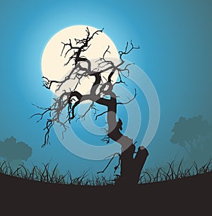 Dead Tree Silhouette In The Moonlight