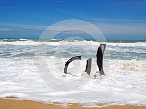 Dead tree stump on beach with white soft sea foam wave and brown sand on beach in sunny day blue sky.