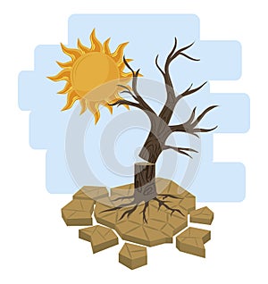 Dead tree and sun