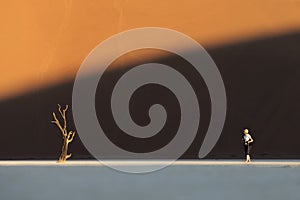 A dead tree and tourist on a clay pan. Deadvlei.