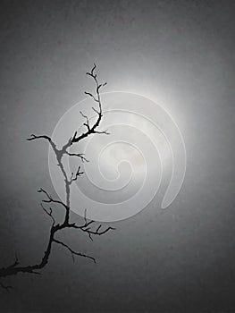 A Dead Tree Under The Moonlight, Illustration