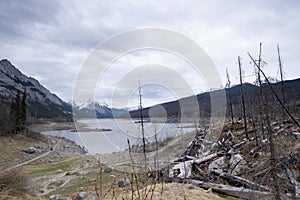 Dead trees destroyed by forest fire, al lake in the middle, Canada photo