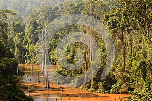 Dead trees in the reservoir with blue sky - Thakhek Loop