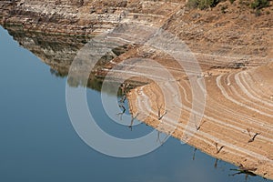 Dead trees on the shore formed by several layers of sediment strata from the Tagus River