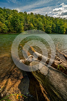 Dead trees on the shore of Morske Oko lake in Vihorlatske vrchy mountains during summer photo