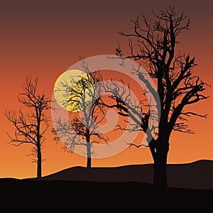 dead trees with sun or moon in background under orange sky - vector