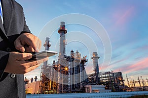 Dead trees in the water