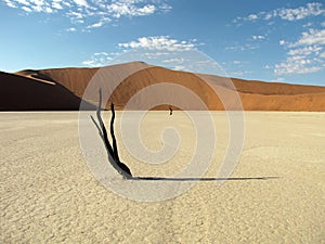 Dead Vlei