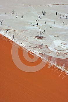 Dead Vlei